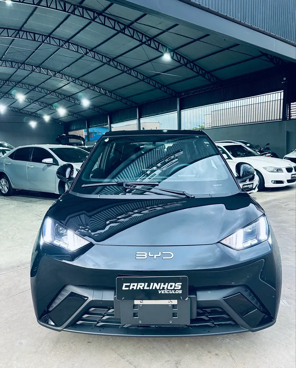 BYD Dolphin - Imagem 2