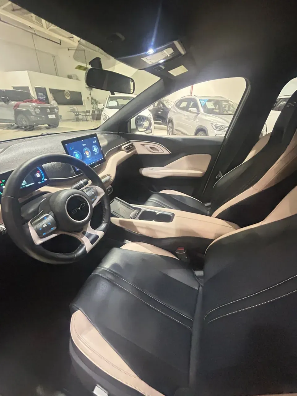 BYD Dolphin Mini - Imagem 6