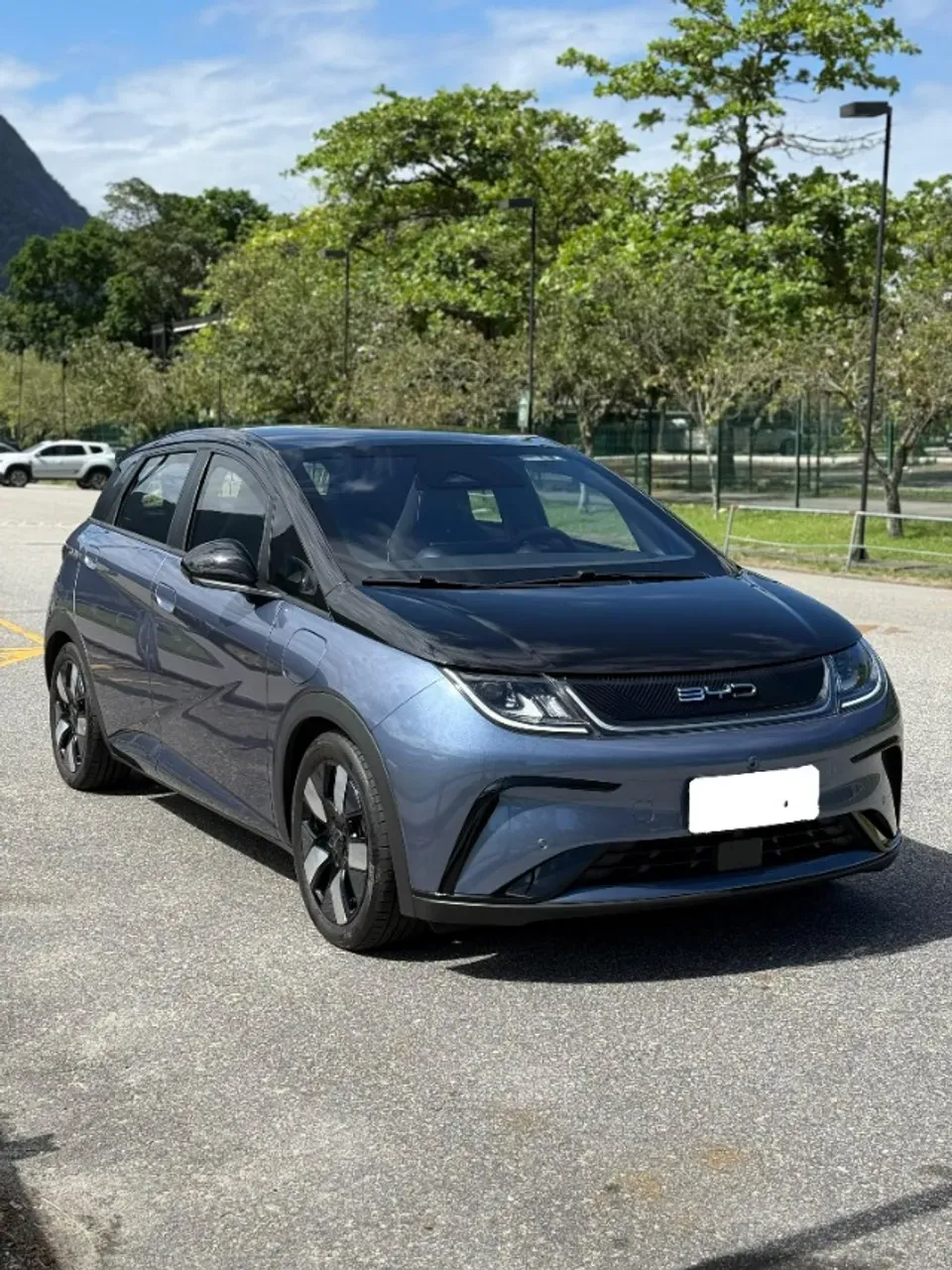 BYD Dolphin Plus - Imagem 4