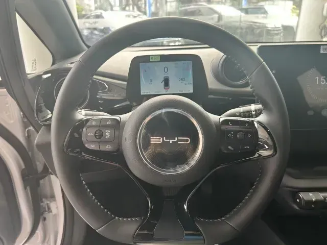 BYD Dolphin Plus - Imagem 2