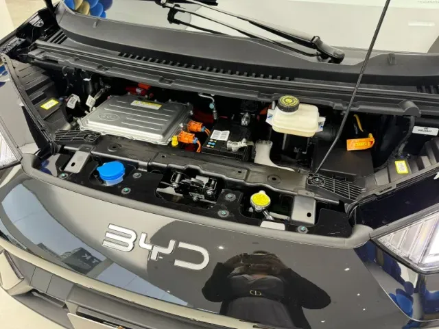 BYD Dolphin Mini - Imagem 11