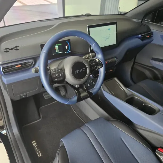 BYD Dolphin Mini - Imagem 11