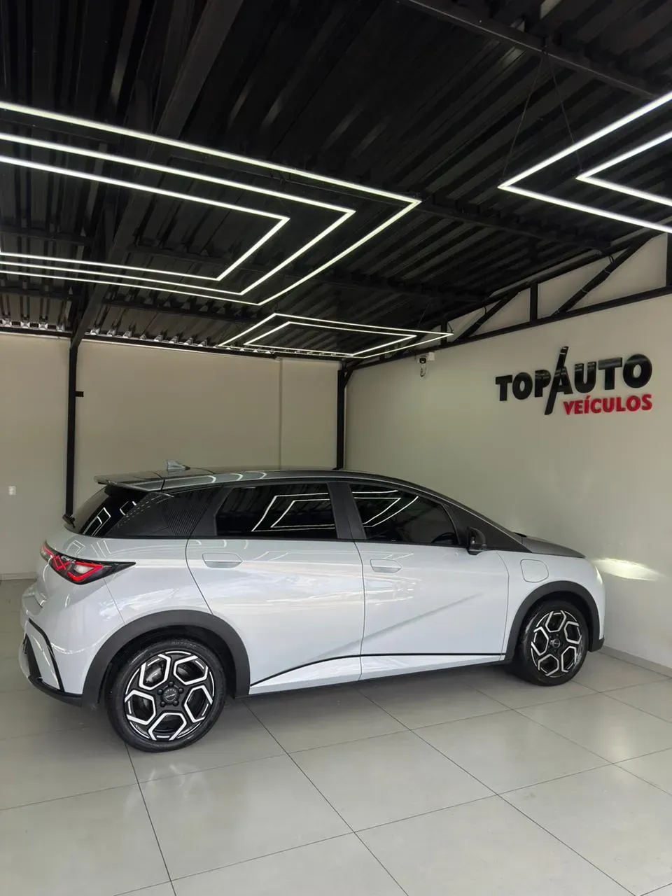 BYD Dolphin Plus - Imagem 6