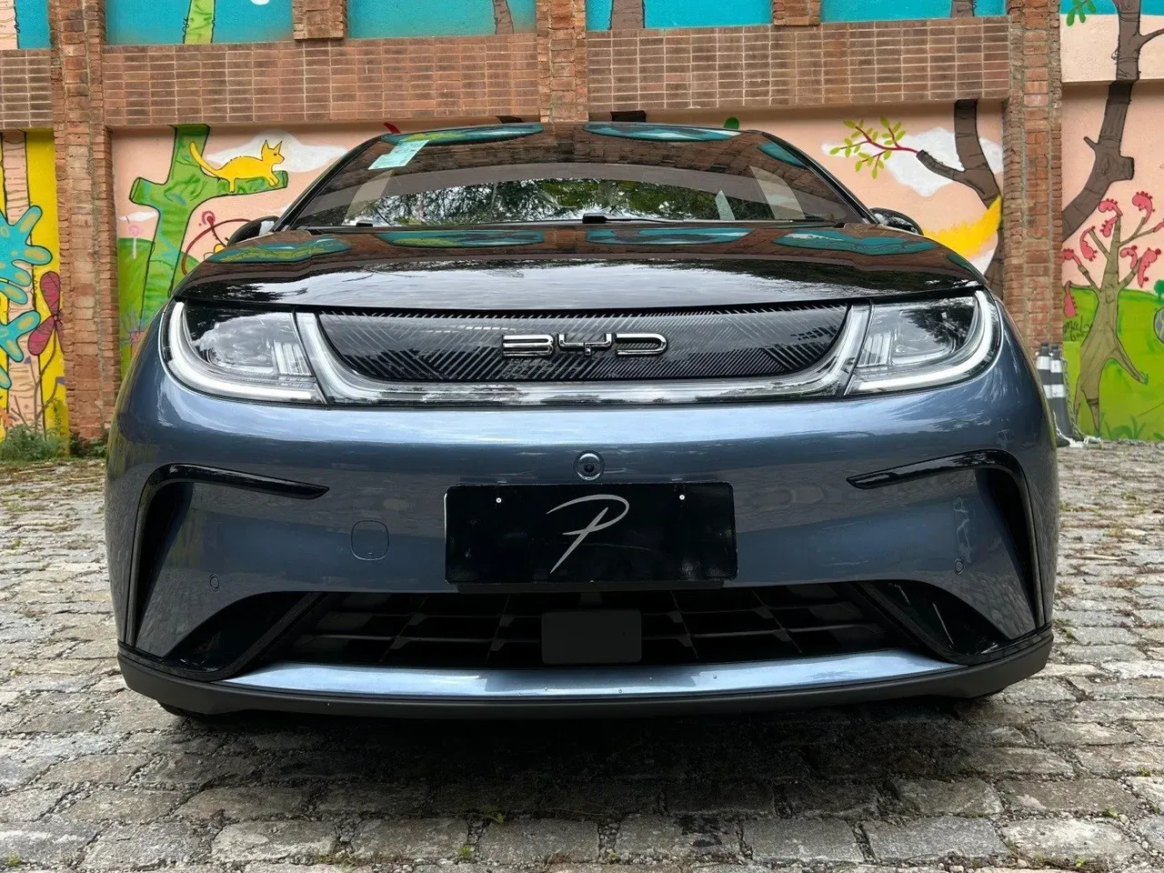 BYD Dolphin Plus - Imagem 2