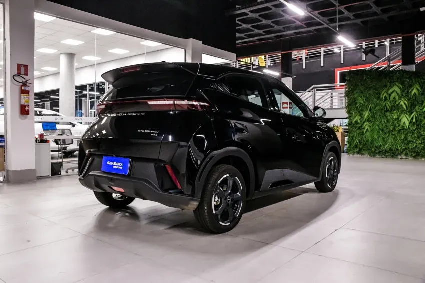 BYD Dolphin Mini - Imagem 10