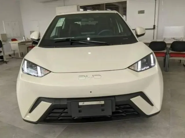 BYD Dolphin Mini - Imagem 2