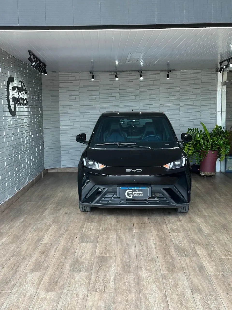 BYD Dolphin Mini - Imagem 2