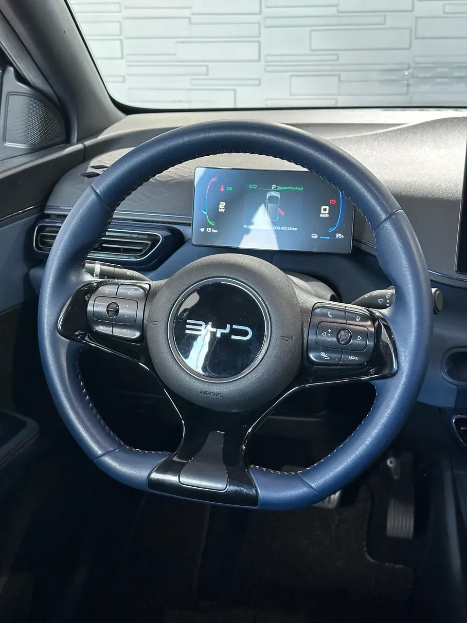 BYD Dolphin Mini - Imagem 12