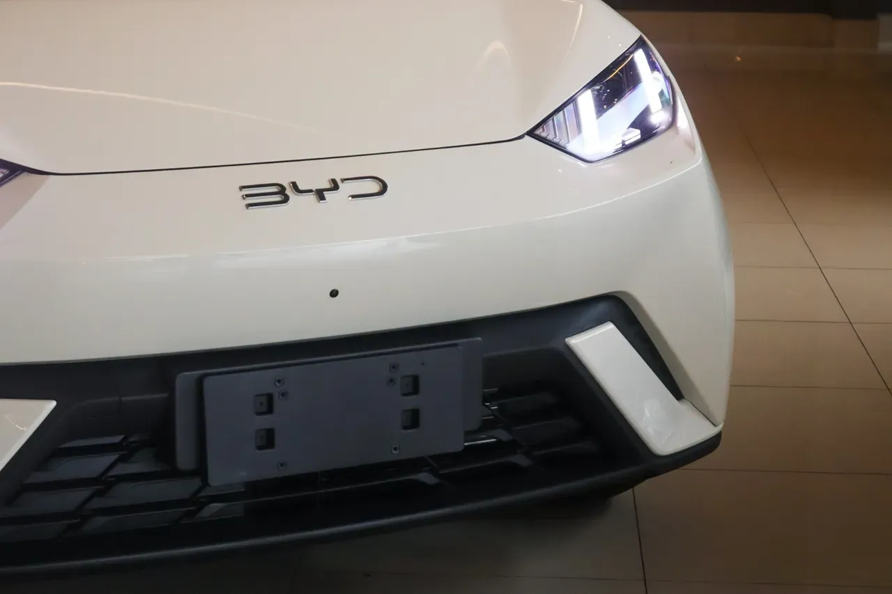 BYD Dolphin Mini - Imagem 8