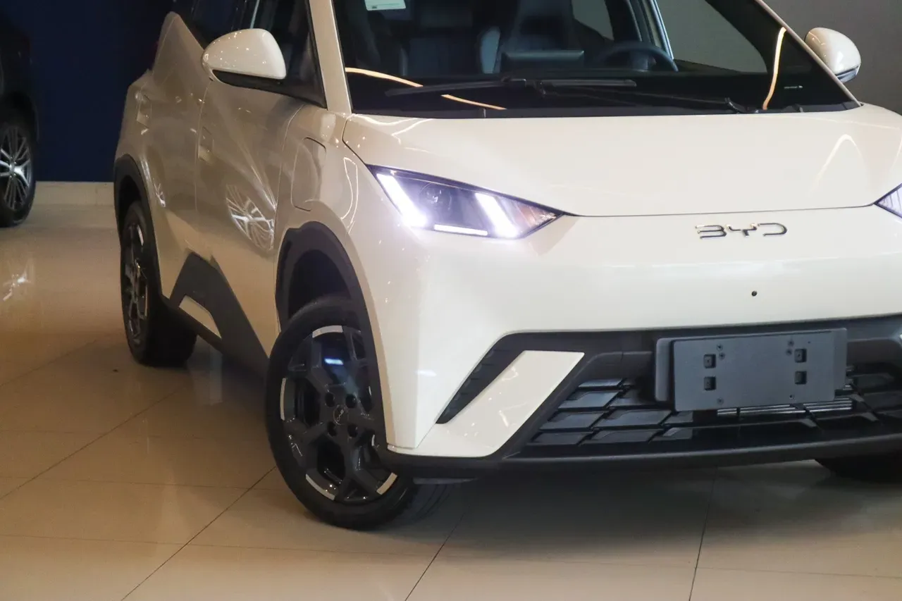 BYD Dolphin Mini - Imagem 10