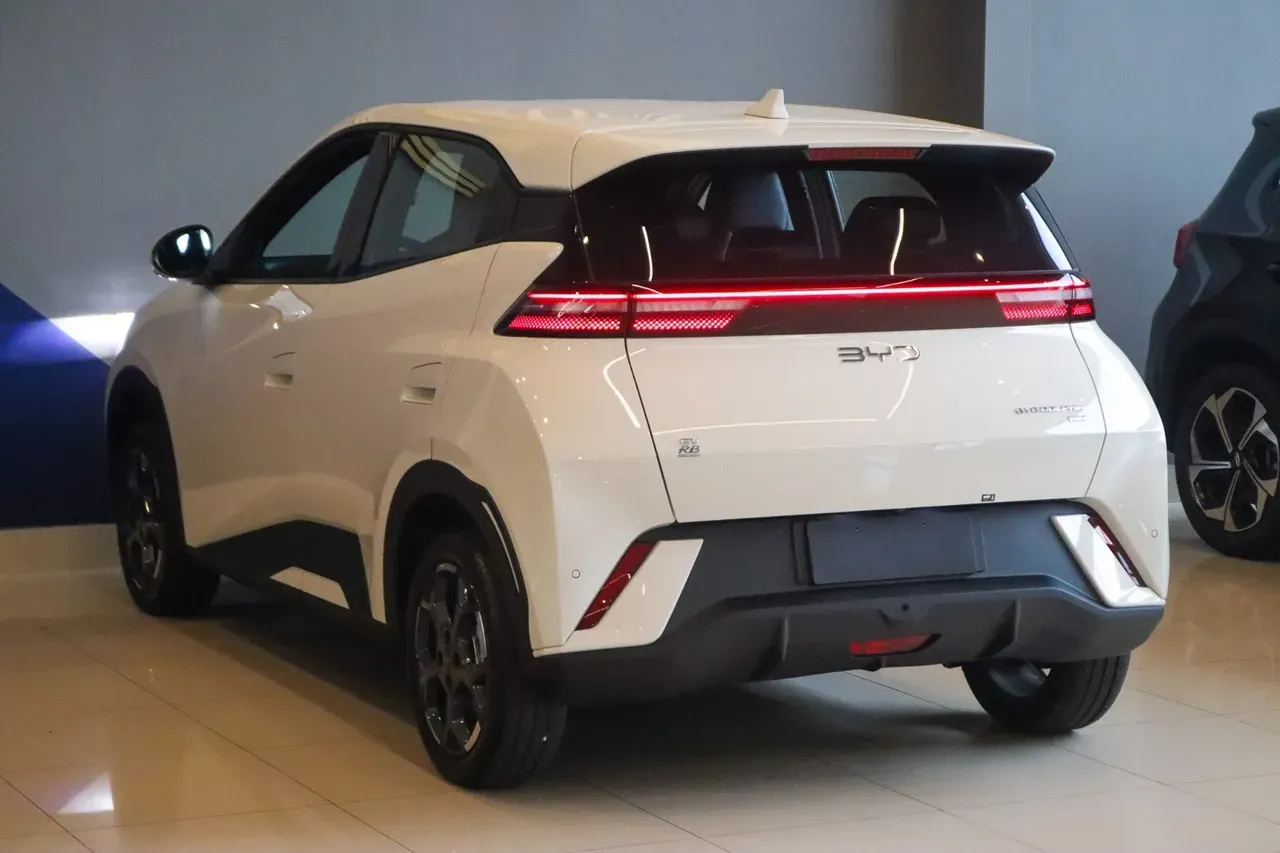 BYD Dolphin Mini - Imagem 19