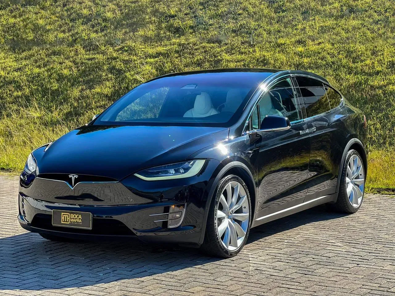 Tesla Model X - Imagem 6