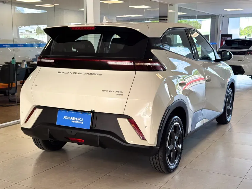 BYD Dolphin Mini - Imagem 12
