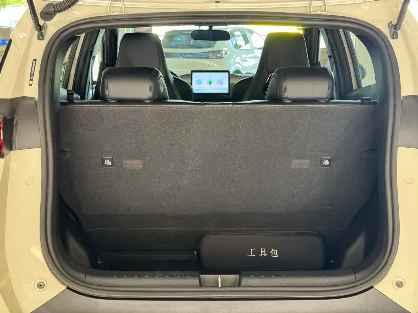 BYD Dolphin Mini - Imagem 13