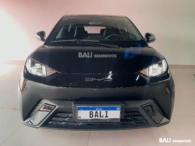 BYD Dolphin Mini - Imagem 8