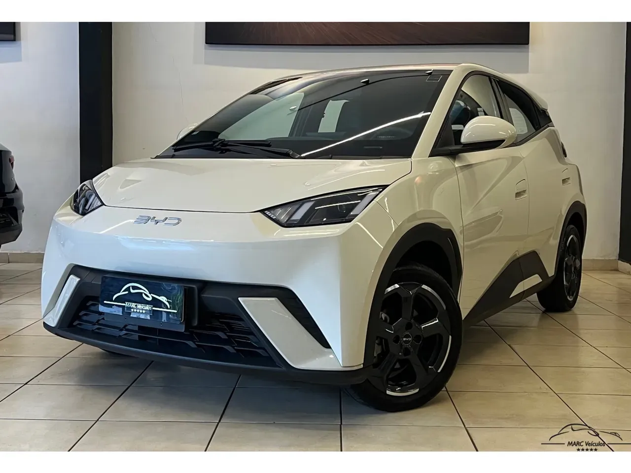 BYD Dolphin Mini - Imagem 20