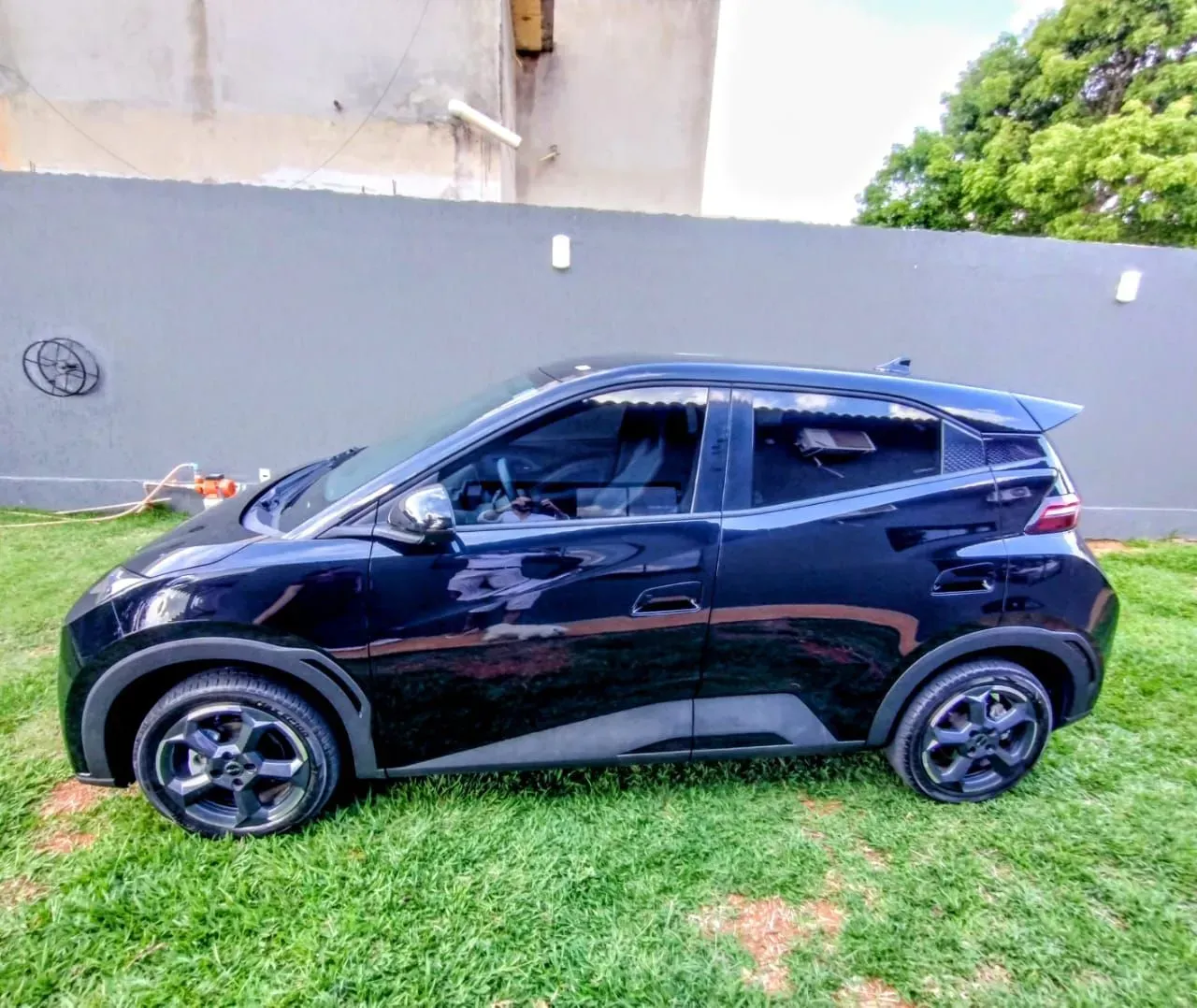 BYD Dolphin Mini - Imagem 8