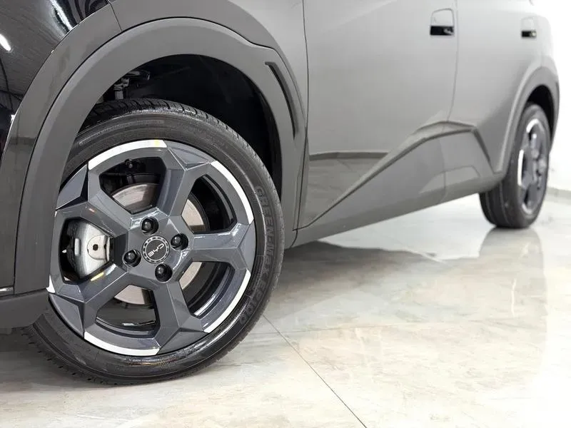 BYD Dolphin Mini - Imagem 12