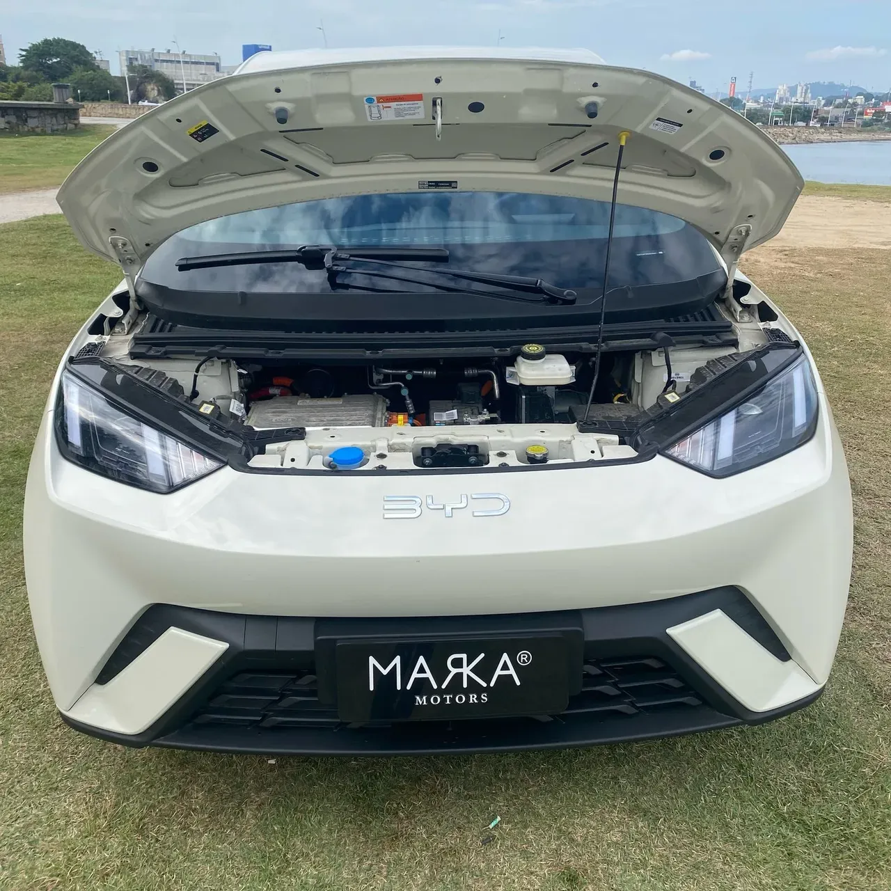 BYD Dolphin Mini - Imagem 9