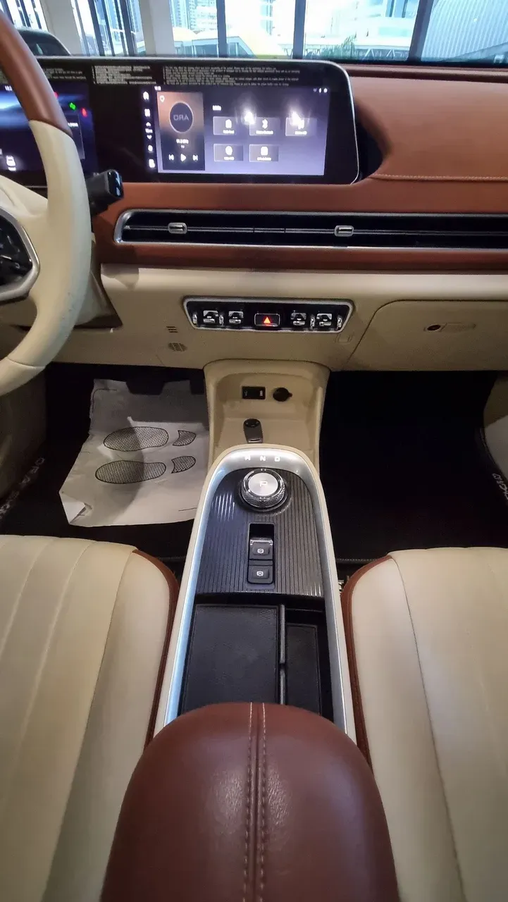 GWM Ora 03 - Imagem 8