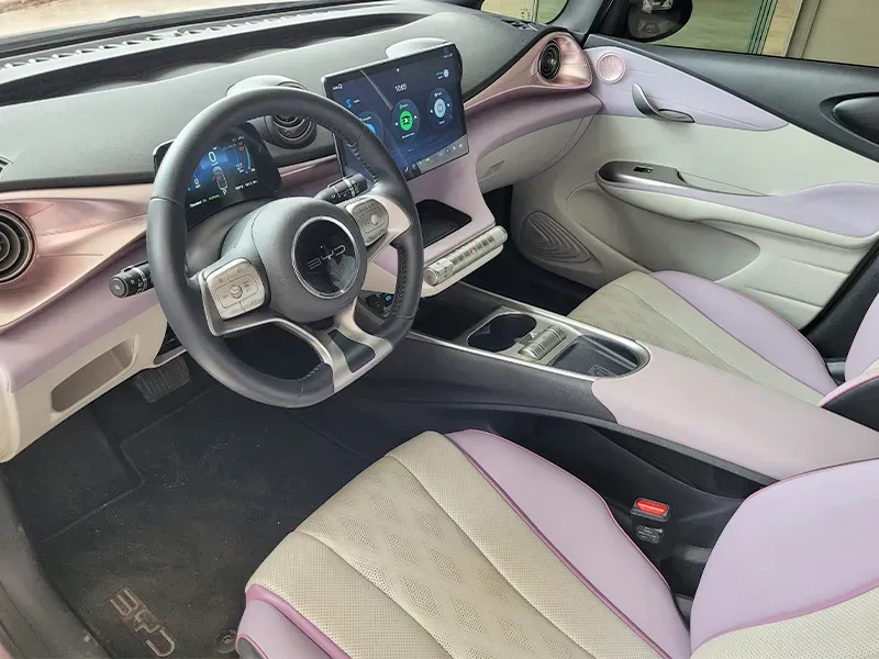 BYD Dolphin Plus - Imagem 9