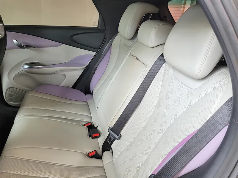 BYD Dolphin Plus - Imagem 10