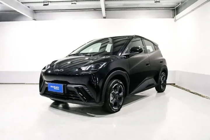 BYD Dolphin Mini - Imagem 2