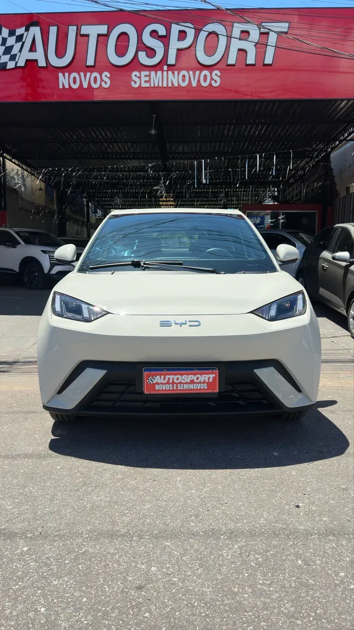BYD Dolphin Mini - Imagem 3