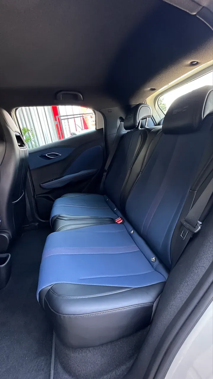 BYD Dolphin Mini - Imagem 18