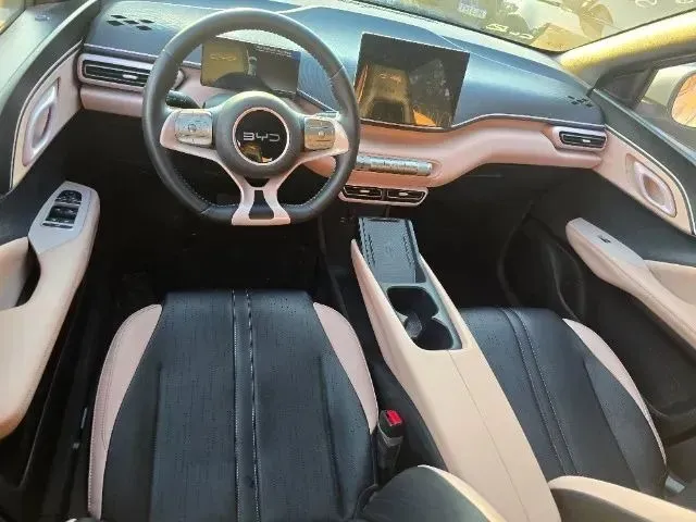 BYD Dolphin Mini - Imagem 6