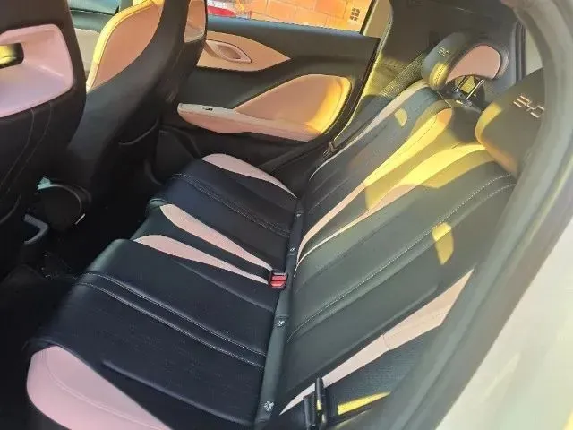 BYD Dolphin Mini - Imagem 7