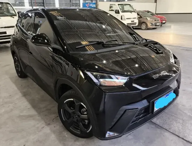 BYD Dolphin Mini - Imagem 2