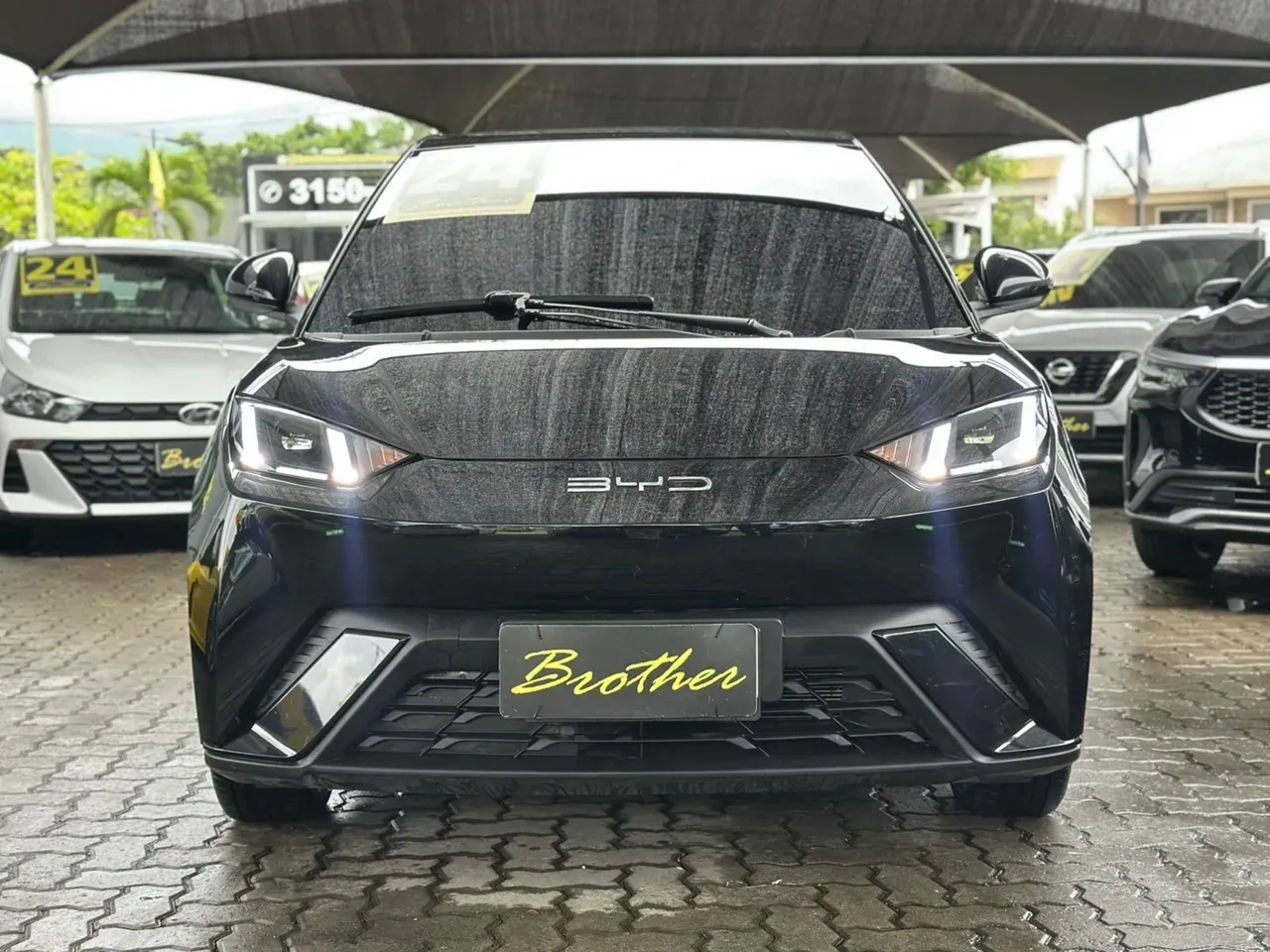 BYD Dolphin Mini - Imagem 3