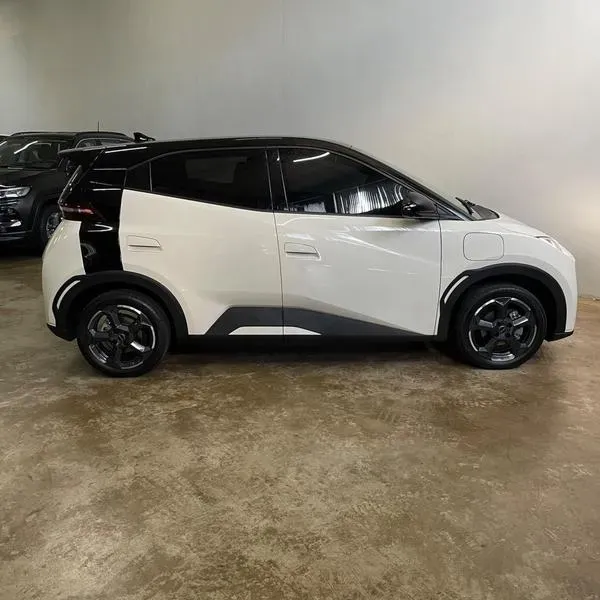 BYD Dolphin Mini - Imagem 6
