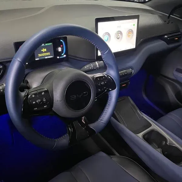 BYD Dolphin Mini - Imagem 8