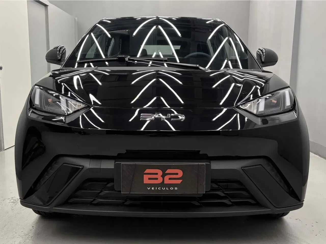 BYD Dolphin Plus - Imagem 3