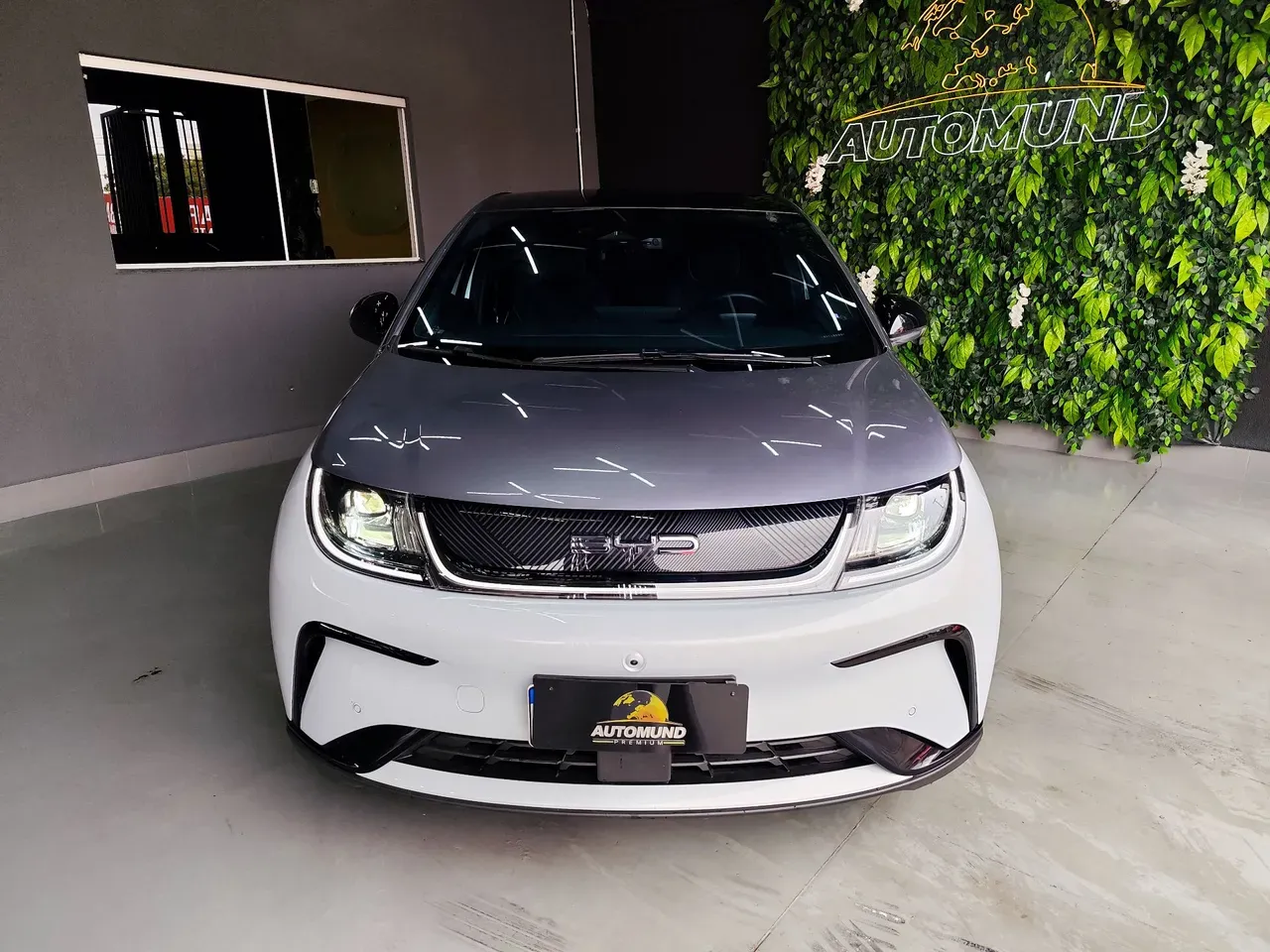 BYD Dolphin Plus - Imagem 4