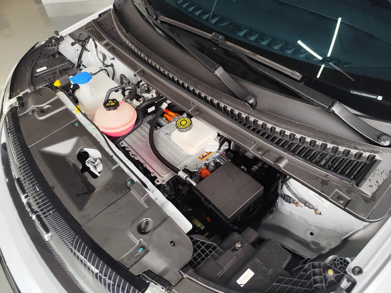 BYD Dolphin Plus - Imagem 6