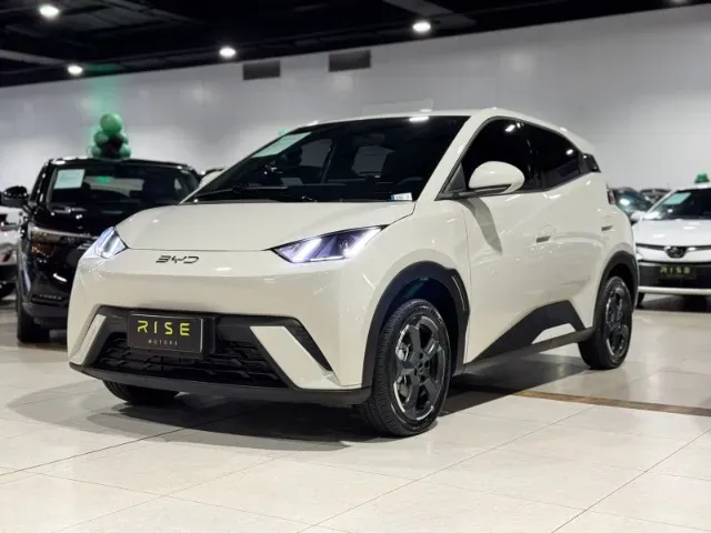 BYD Dolphin Mini - Imagem 10