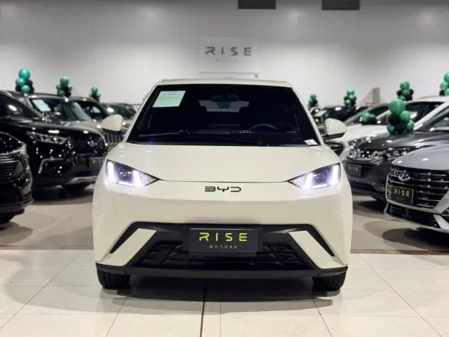 BYD Dolphin Mini - Imagem 15