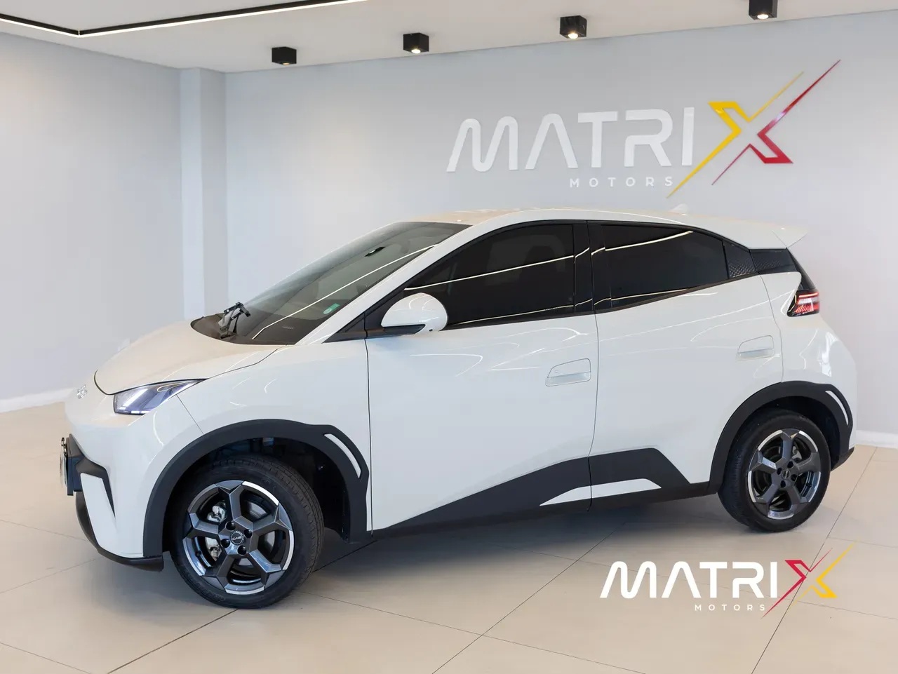 BYD Dolphin Mini - Imagem 18