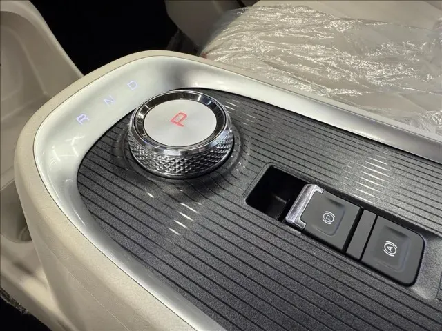 GWM Ora 03 - Imagem 8