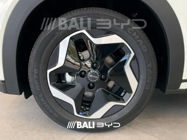 BYD Dolphin - Imagem 6