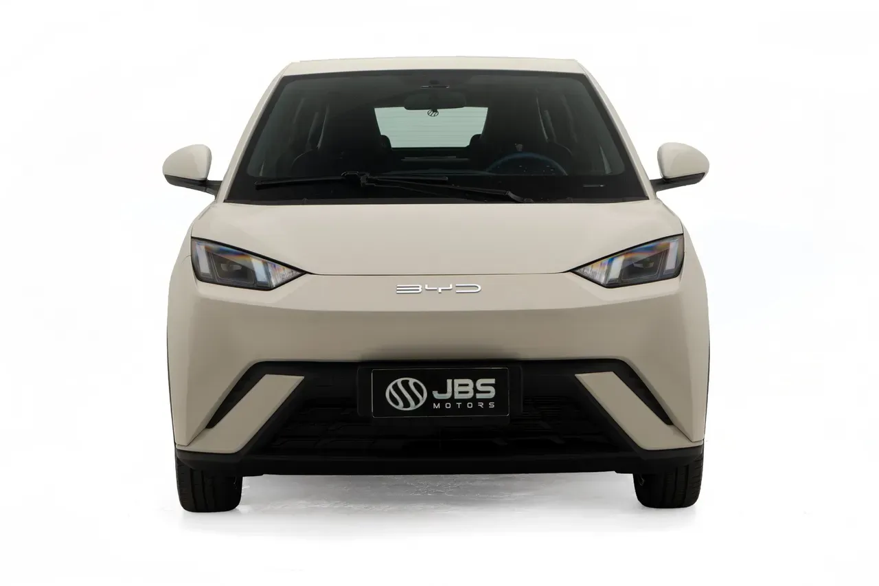 BYD Dolphin Mini - Imagem 2