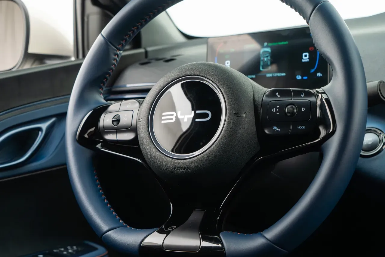 BYD Dolphin Mini - Imagem 11