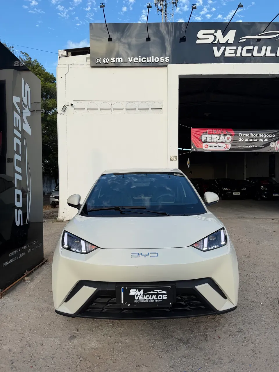 BYD Dolphin Mini - Imagem 5