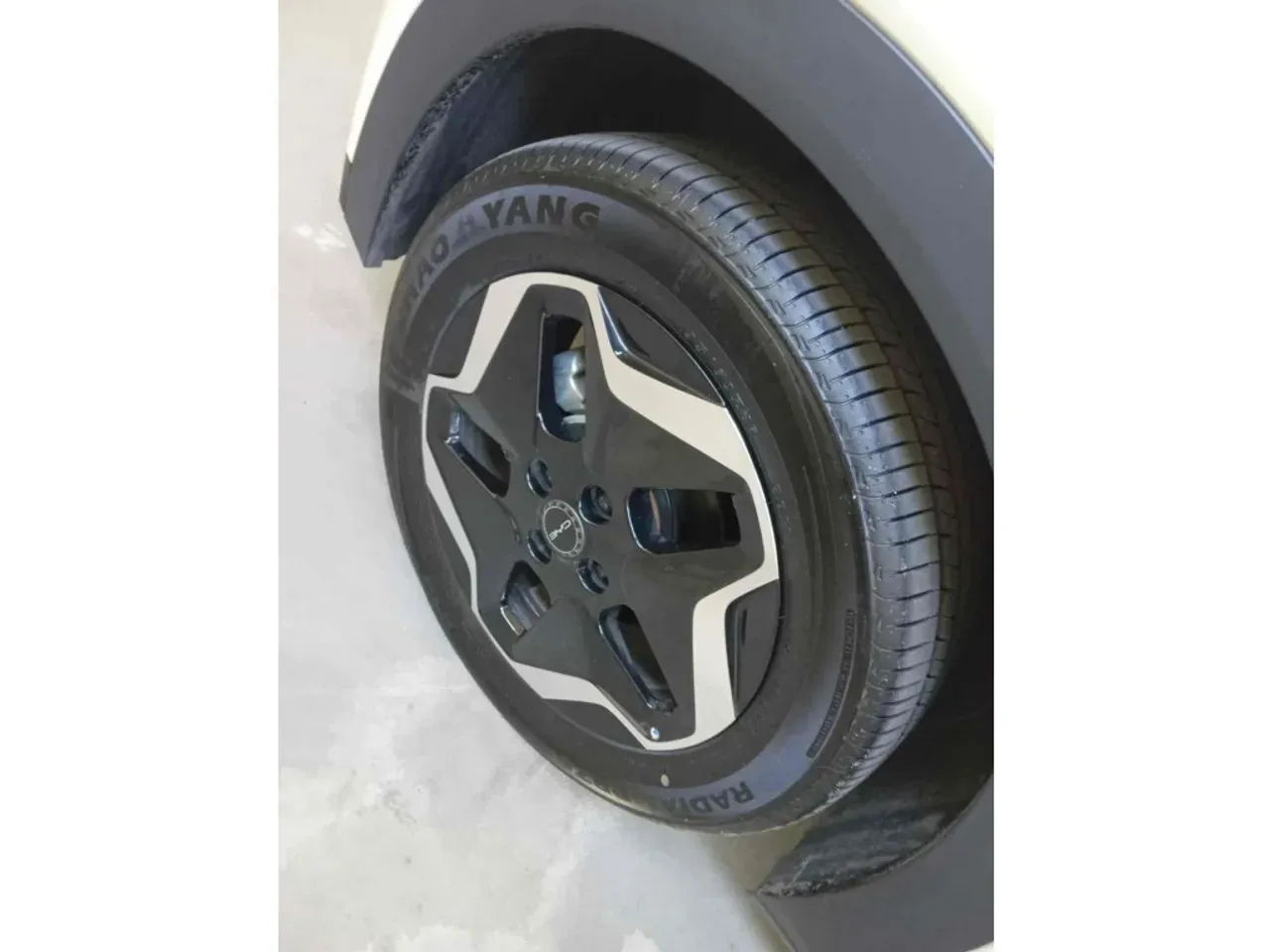 BYD Dolphin Plus - Imagem 11