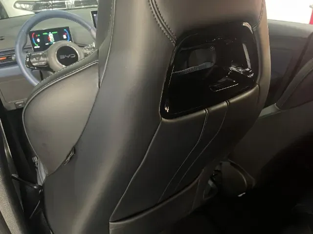 BYD Dolphin Mini - Imagem 12