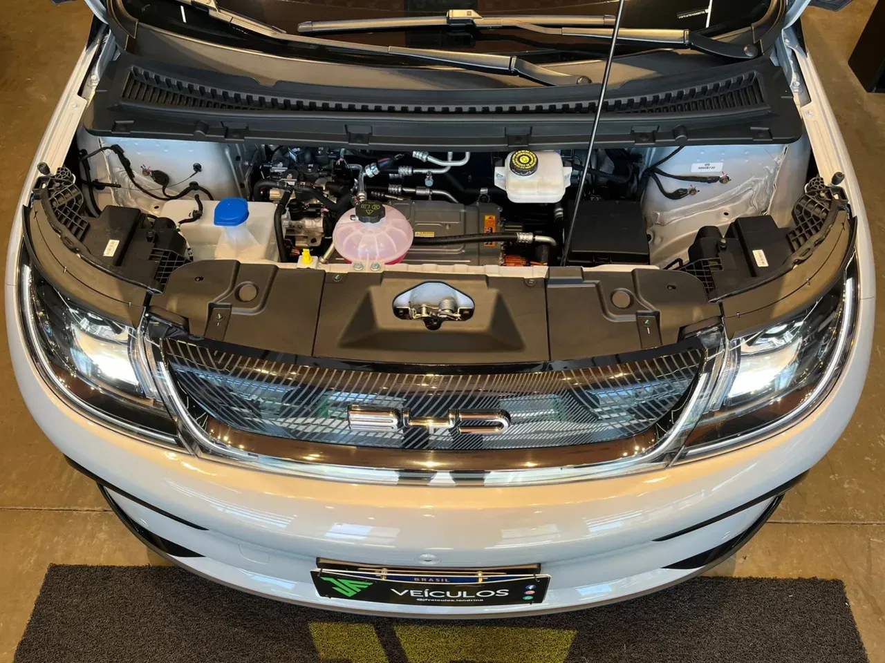 BYD Dolphin Plus - Imagem 19