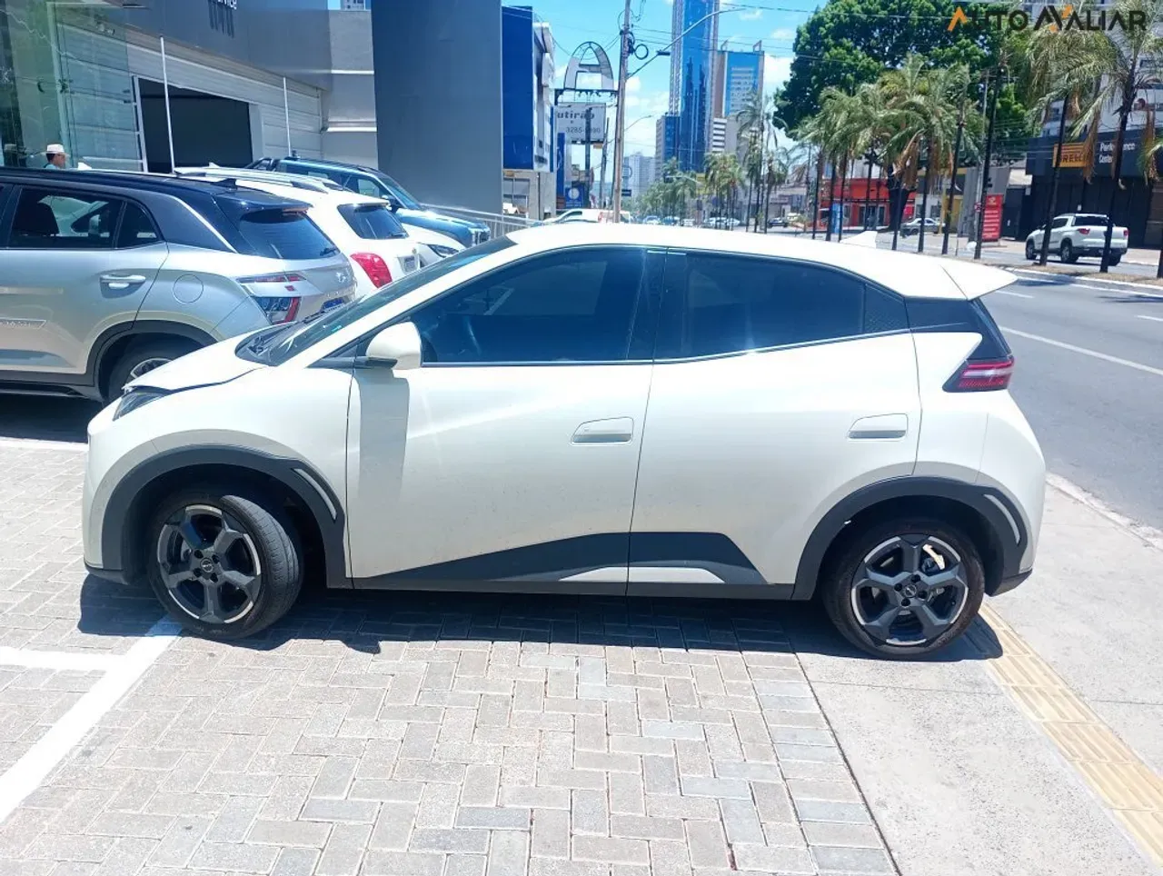 BYD Dolphin Mini - Imagem 6